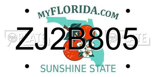 ZJ2B805 Florida License Plate