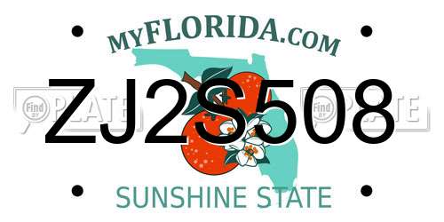 ZJ2S508 Florida License Plate