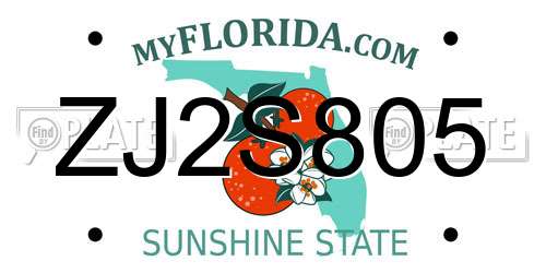 ZJ2S805 Florida License Plate