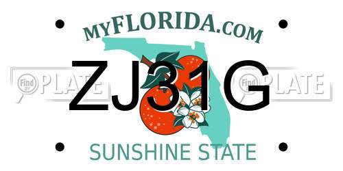 ZJ31G Florida License Plate