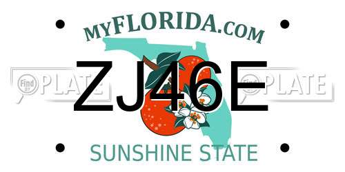 ZJ46E Florida License Plate