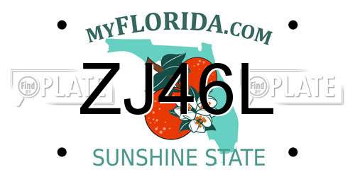 ZJ46L Florida License Plate