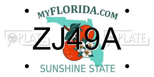 ZJ49A Florida License Plate
