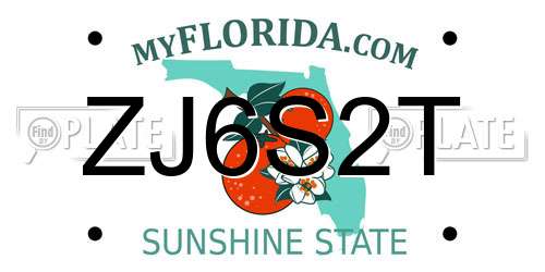 ZJ6S2T Florida License Plate