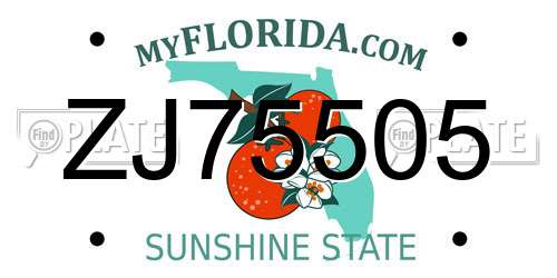 ZJ75505 Florida License Plate