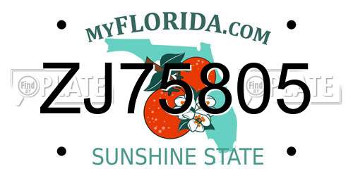 ZJ75805 Florida License Plate