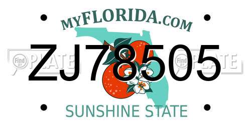 ZJ78505 Florida License Plate