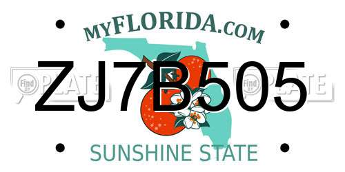 ZJ7B505 Florida License Plate