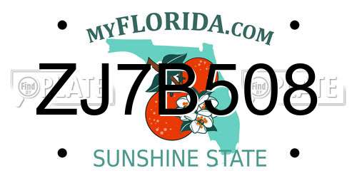 ZJ7B508 Florida License Plate