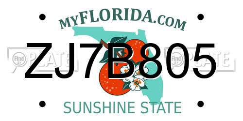 ZJ7B805 Florida License Plate