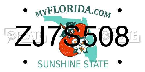 ZJ7S508 Florida License Plate