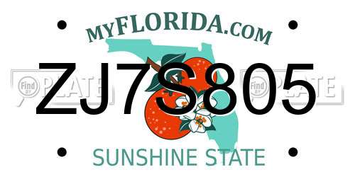 ZJ7S805 Florida License Plate