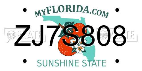 ZJ7S808 Florida License Plate