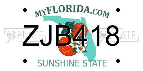 ZJB418 Florida License Plate