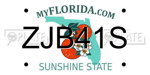 ZJB41S Florida License Plate