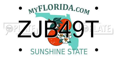 ZJB49T Florida License Plate