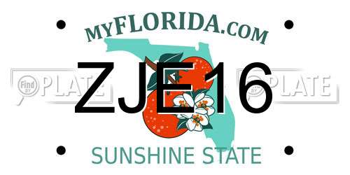 ZJE16 Florida License Plate
