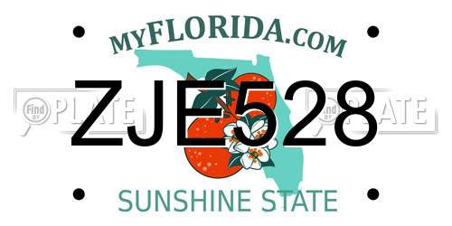 ZJE528 Florida License Plate