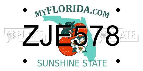ZJE578 Florida License Plate