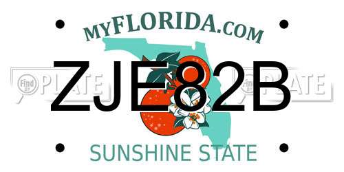 ZJE82B Florida License Plate