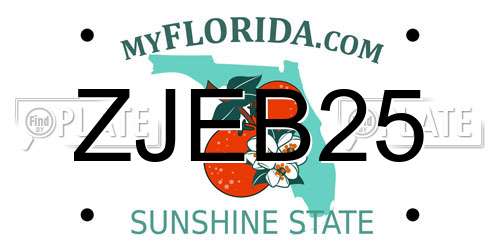 ZJEB25 Florida License Plate
