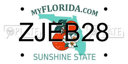 ZJEB28 Florida License Plate
