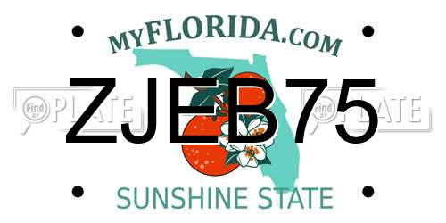 ZJEB75 Florida License Plate