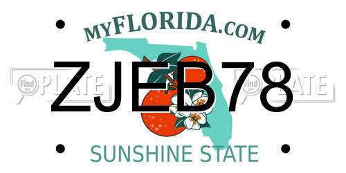 ZJEB78 Florida License Plate