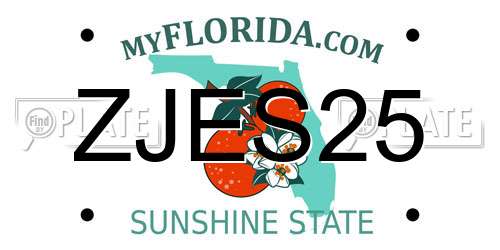 ZJES25 Florida License Plate