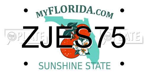 ZJES75 Florida License Plate