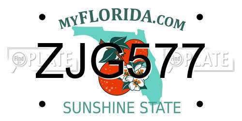 ZJG577 Florida License Plate