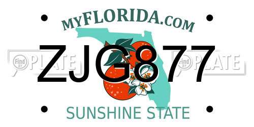 ZJG877 Florida License Plate