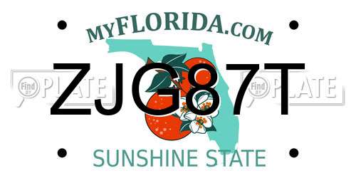 ZJG87T Florida License Plate