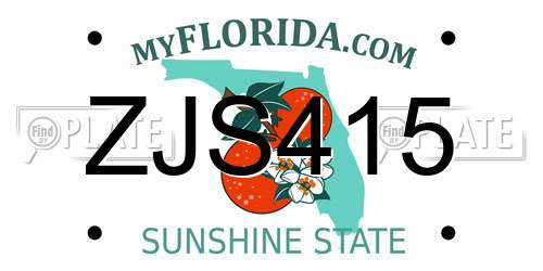 ZJS415 Florida License Plate