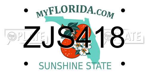 ZJS418 Florida License Plate