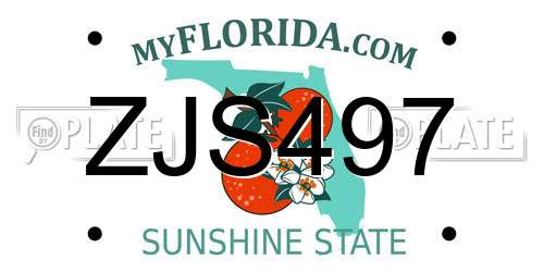 ZJS497 Florida License Plate