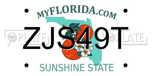 ZJS49T Florida License Plate