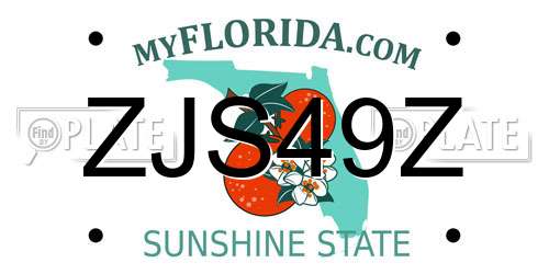 ZJS49Z Florida License Plate