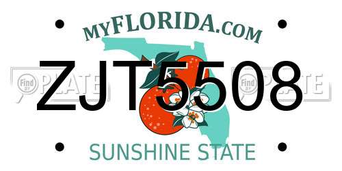 ZJT5508 Florida License Plate