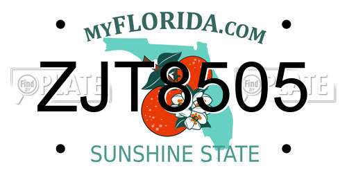 ZJT8505 Florida License Plate