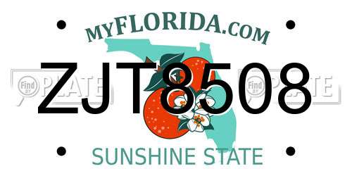 ZJT8508 Florida License Plate