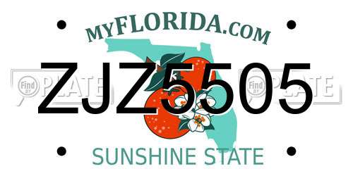 ZJZ5505 Florida License Plate