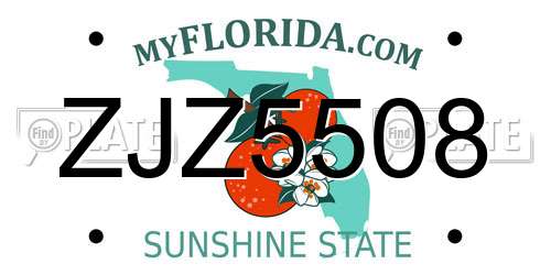 ZJZ5508 Florida License Plate