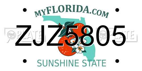 ZJZ5805 Florida License Plate
