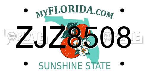 ZJZ8508 Florida License Plate