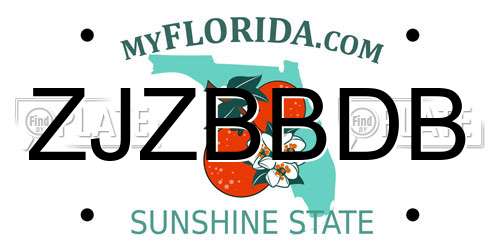 ZJZBBDB Florida License Plate