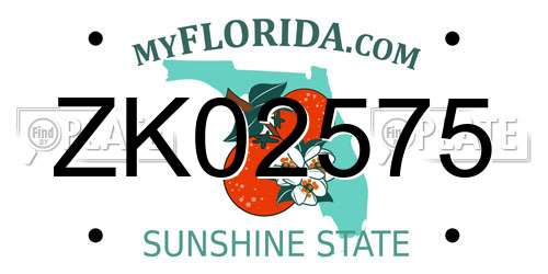 ZK02575 Florida License Plate