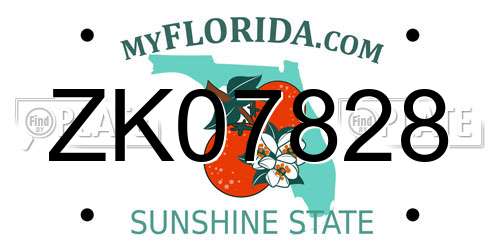 ZK07828 Florida License Plate