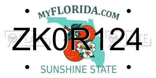 ZK0R124 Florida License Plate
