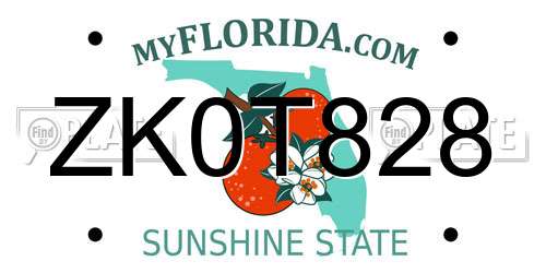 ZK0T828 Florida License Plate
